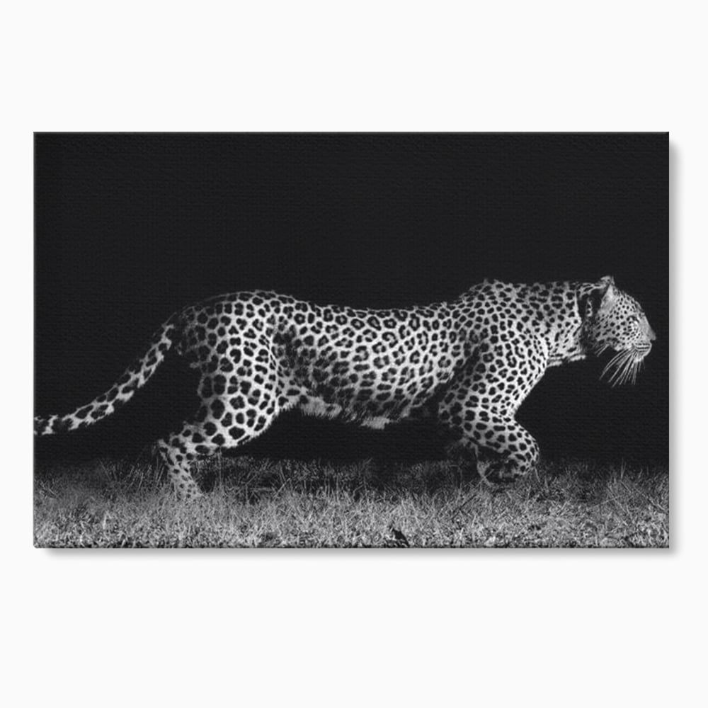 Tablou canvas cu tablou canvas cu jaguar nocturn, fara rama, pe sasiu de lemn